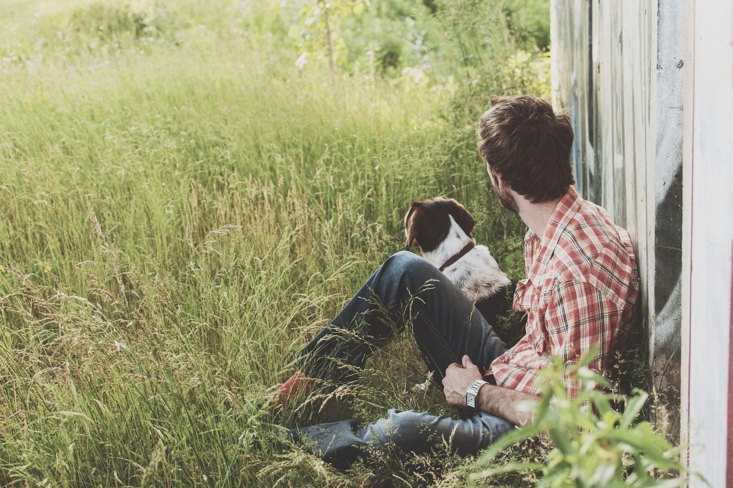 Image shows man sat with dog amongst tall grass.