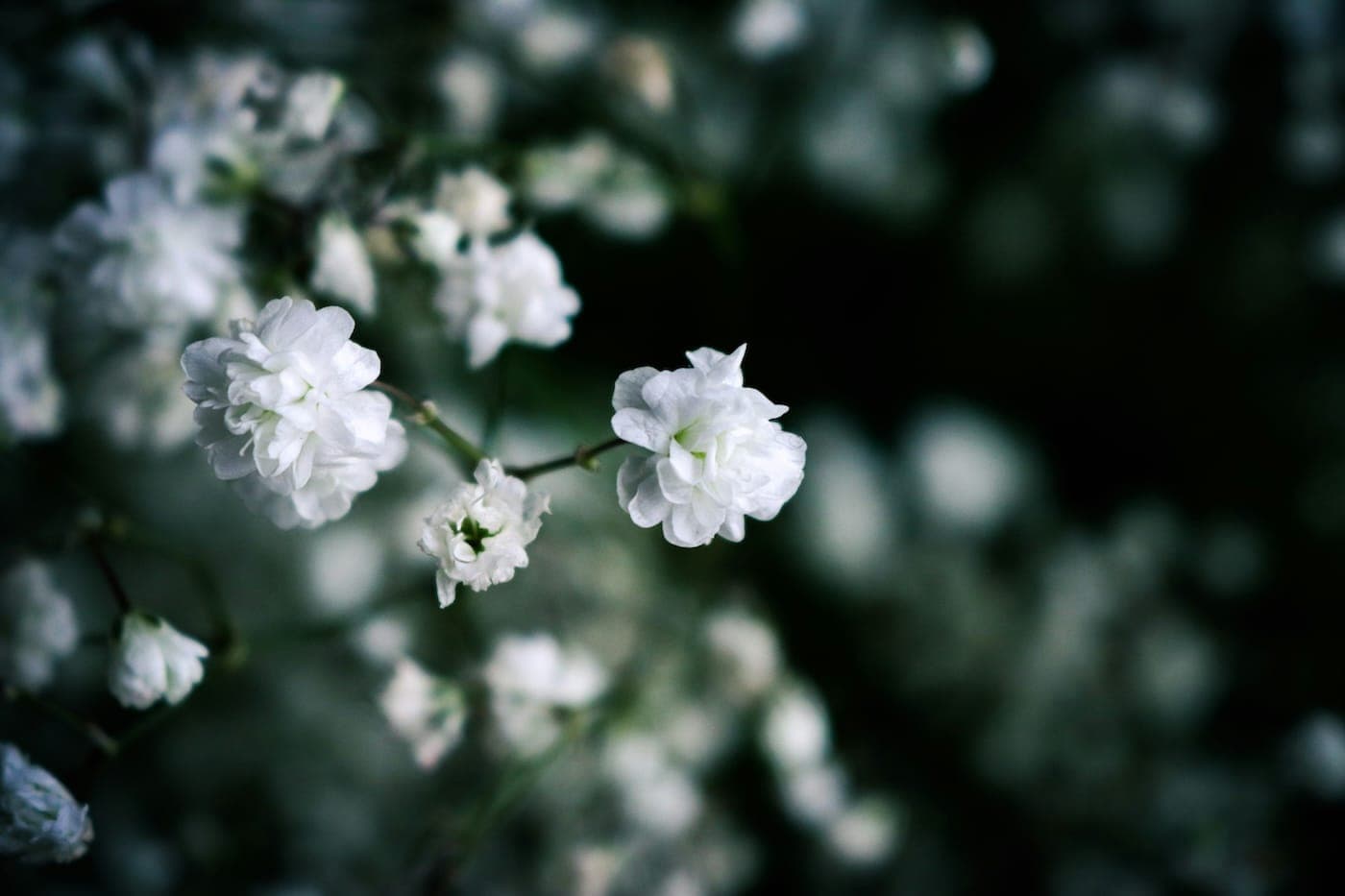 5 myths about grief, debunked